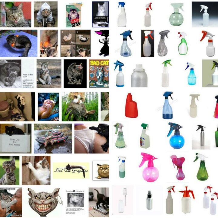 "The Eternal Struggle" Printed Screenshots of Google™ Images®, 2012 120" x 120" $15000.00 Part of 2012 Betty Bowen Award Application Entry series.